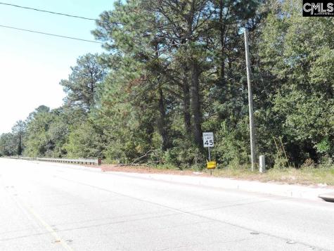 1250 South Lake Drive Lexington SC 29073