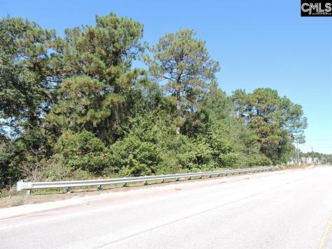 1250 South Lake Drive Lexington SC 29073