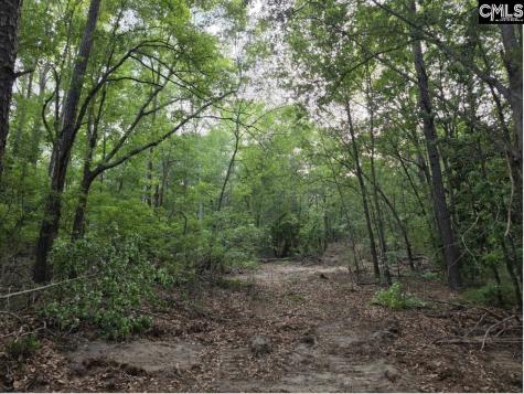 7 Acres Woodberry Lane North Augusta SC 29841