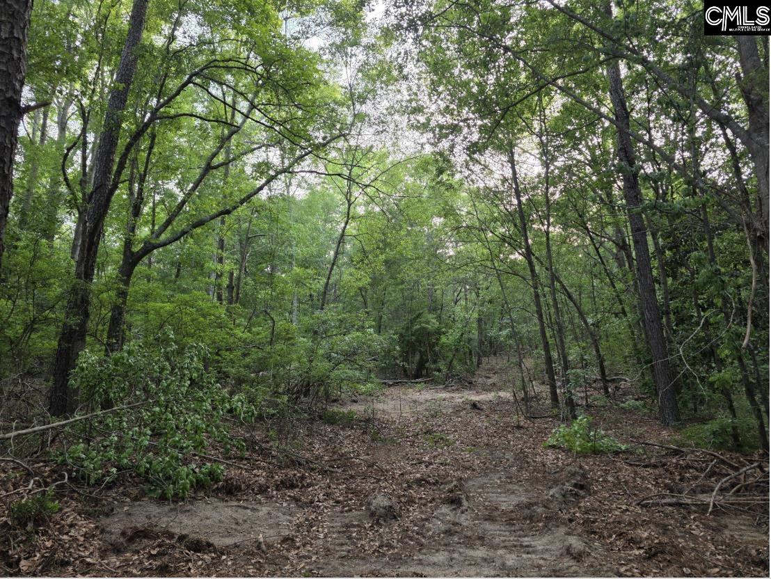 7 Acres Woodberry Lane North Augusta SC 29841