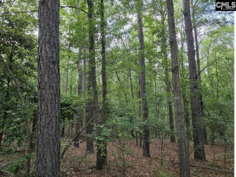 7 Acres Woodberry Lane North Augusta SC 29841