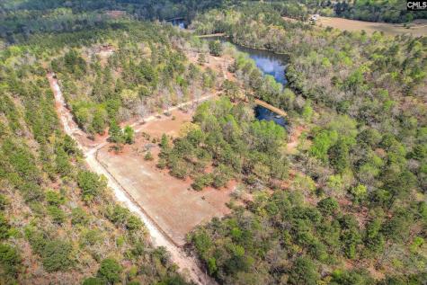 0 Courtney Road Trenton SC 29847