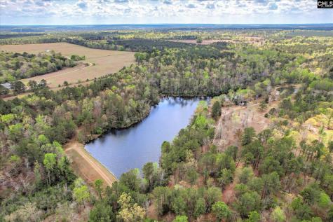 0 Courtney Road Trenton SC 29847