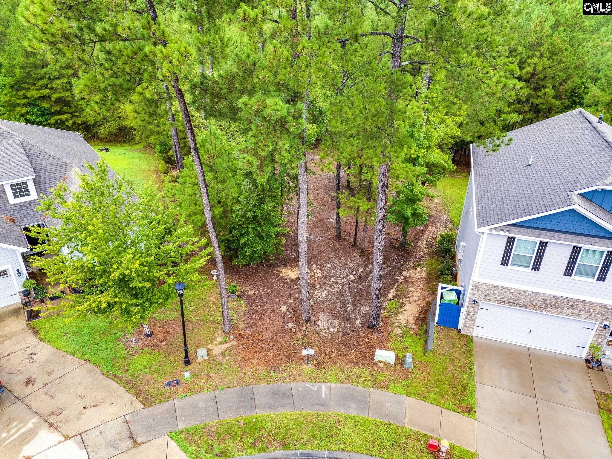 794 Carolina Aster Drive Blythewood SC 29016