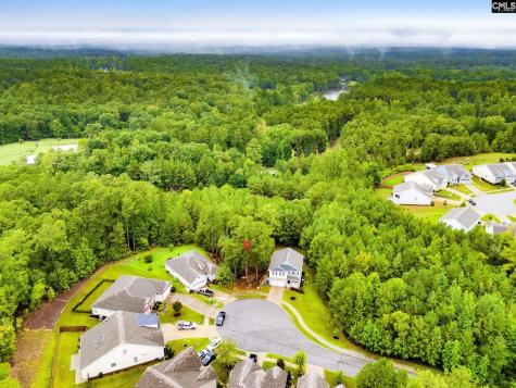 794 Carolina Aster Drive Blythewood SC 29016