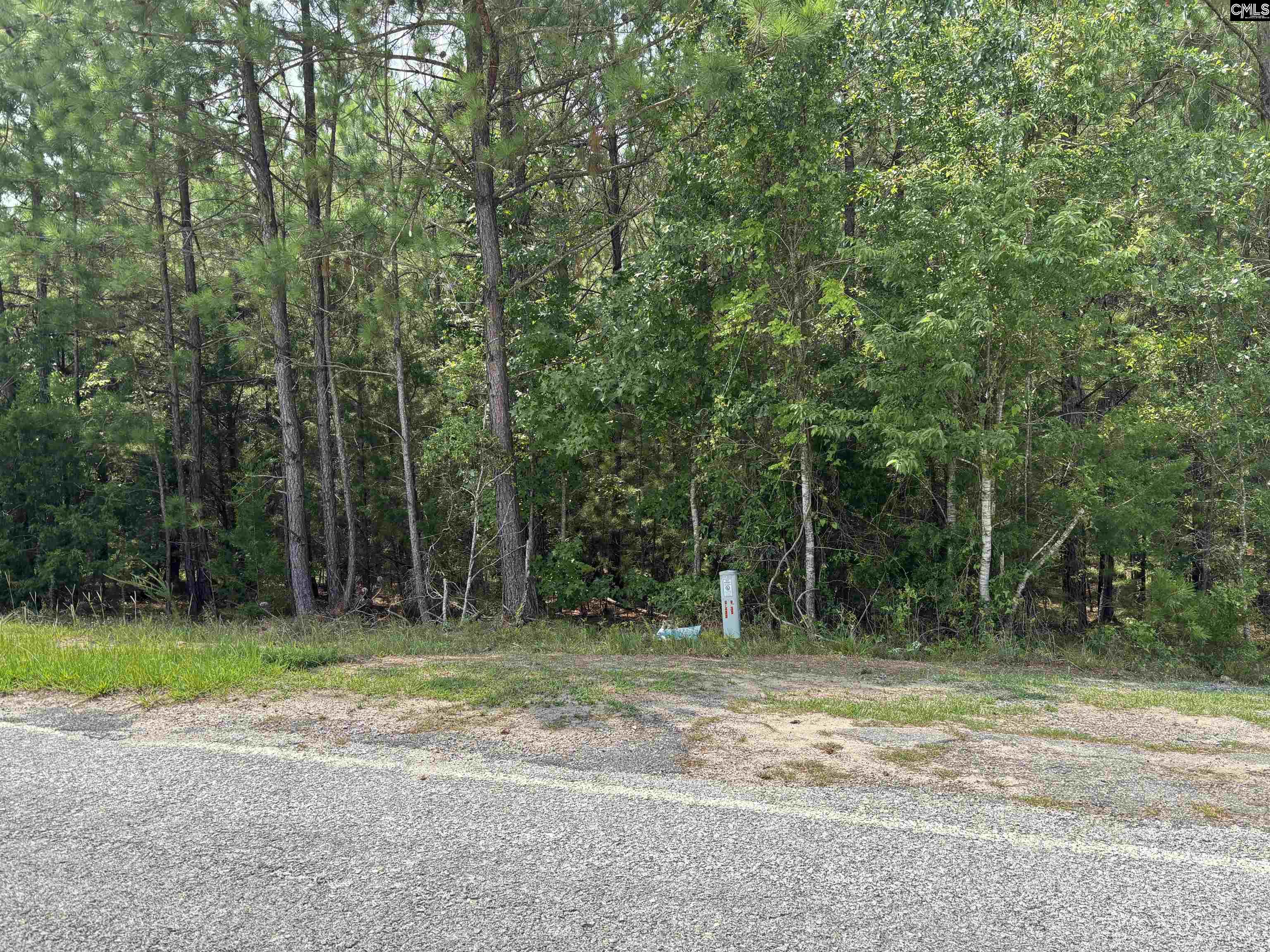2112 Chappelltown Road Winnsboro SC 29180