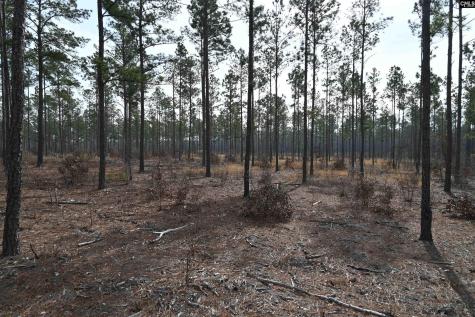 622 Pickett Thomas Road Camden SC 29020