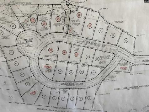 117 Mayhaw Drive Columbia SC 29206