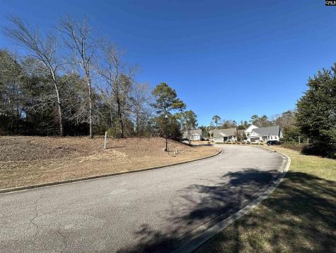 117 Mayhaw Drive Columbia SC 29206