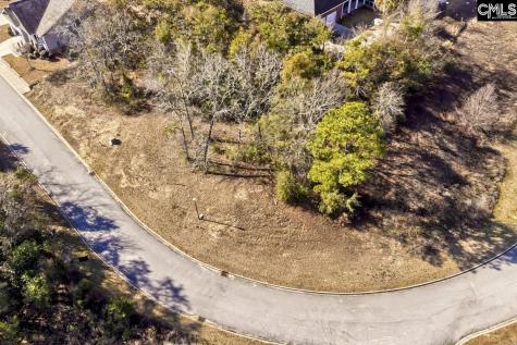 117 Mayhaw Drive Columbia SC 29206