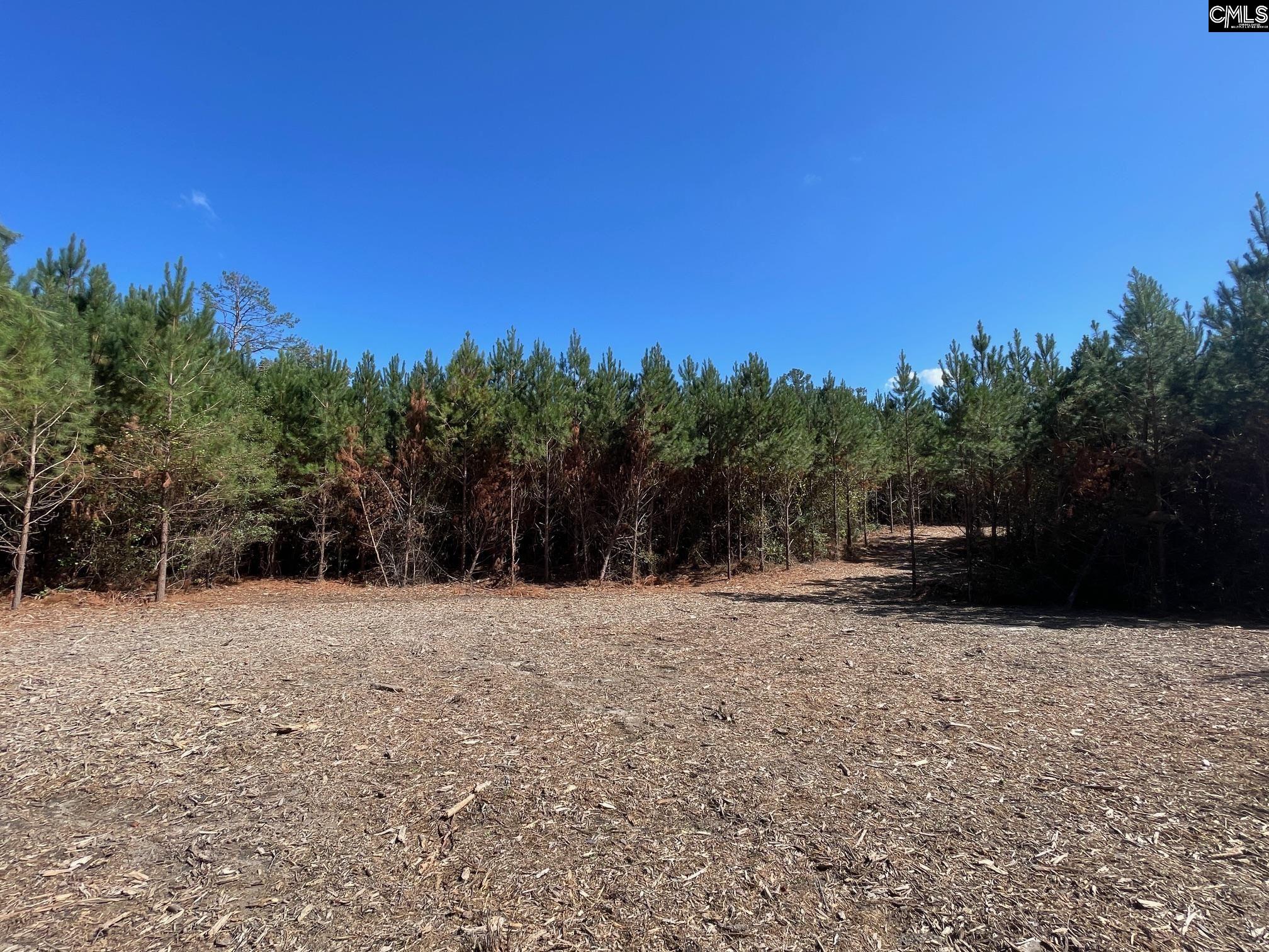 1938 Old Georgetown Road W Camden SC 29032-0000