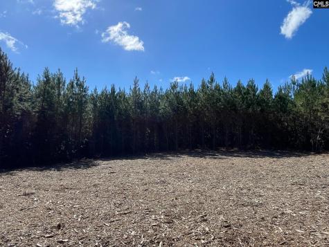 1938 Old Georgetown Road W Camden SC 29032-0000