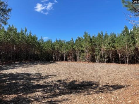 1938 Old Georgetown Road W Camden SC 29032-0000