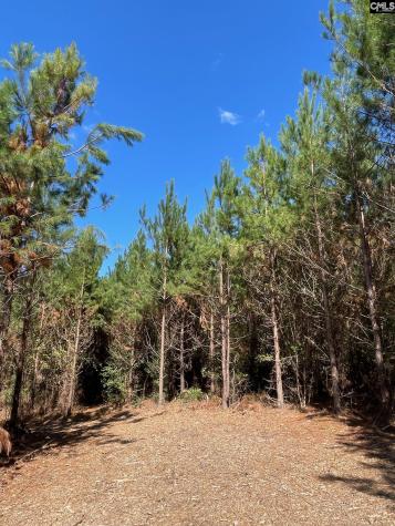 1938 Old Georgetown Road W Camden SC 29032-0000