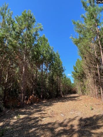 1938 Old Georgetown Road W Camden SC 29032-0000