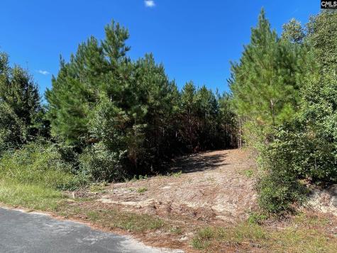 1938 Old Georgetown Road W Camden SC 29032-0000