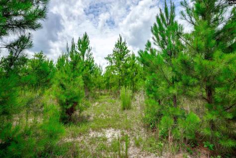 Tbd Catalina Boulevard Swansea SC 29160