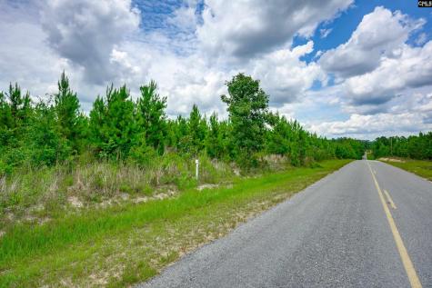 Tbd Catalina Boulevard Swansea SC 29160