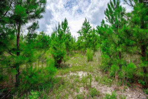 Tbd Catalina Boulevard Swansea SC 29160