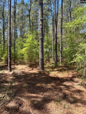 Sda 1 Salley Road Salley SC 29137