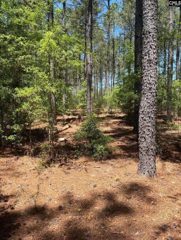 Sda 1 Salley Road Salley SC 29137