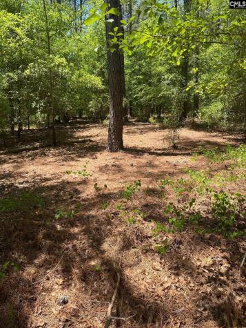 Sda 1 Salley Road Salley SC 29137