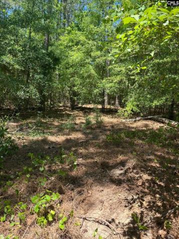 Sda 1 Salley Road Salley SC 29137