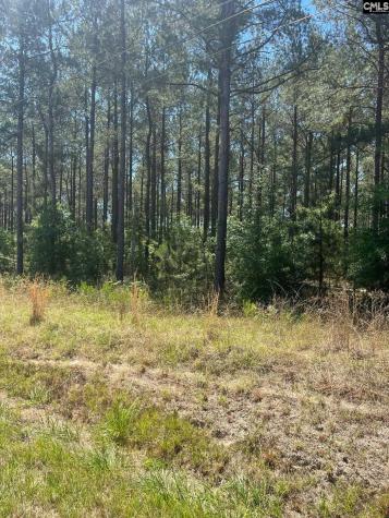 Sda 1 Salley Road Salley SC 29137