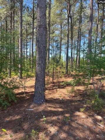Sda 1 Salley Road Salley SC 29137