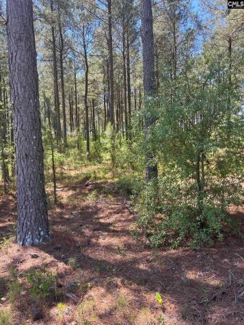 Sda 1 Salley Road Salley SC 29137