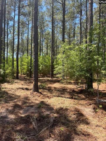 Sda 1 Salley Road Salley SC 29137