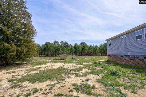 1100 Marlowe Drive Manning SC 29102
