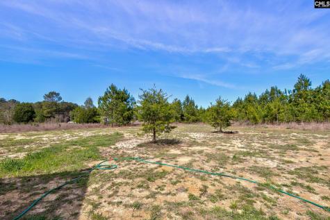 1100 Marlowe Drive Manning SC 29102