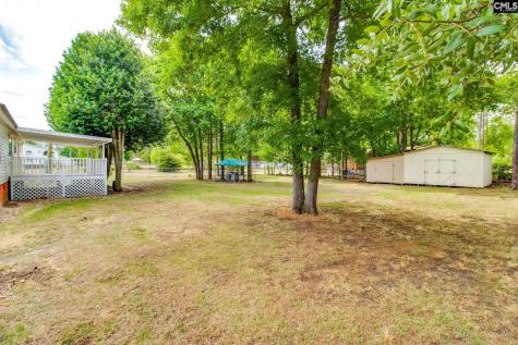 720 Woodtrail Drive Gaston SC 29053