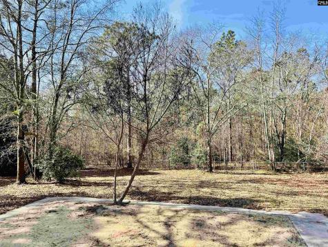 491 Sandy Springs Lane Lexington SC 29073