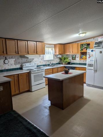 113 Hass Lucas Road Gaston SC 29053
