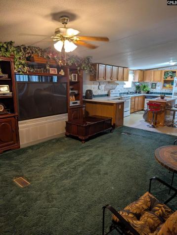 113 Hass Lucas Road Gaston SC 29053
