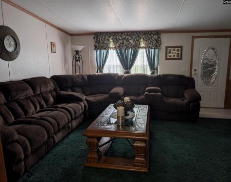 113 Hass Lucas Road Gaston SC 29053