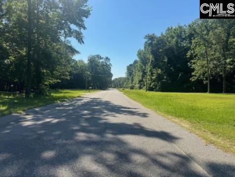 156 Sparklewood Drive Orangeburg SC 29115