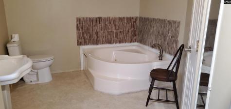 288 Peeler Road Gaston SC 29053