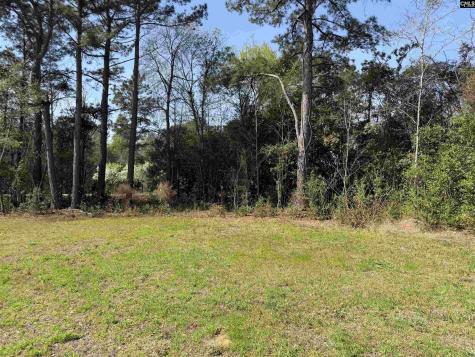 7533 Old Number Six Highway Santee SC 29142-9096