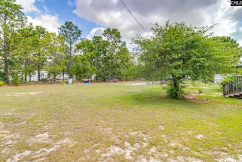 154 Doe Trail Drive Lexington SC 29073