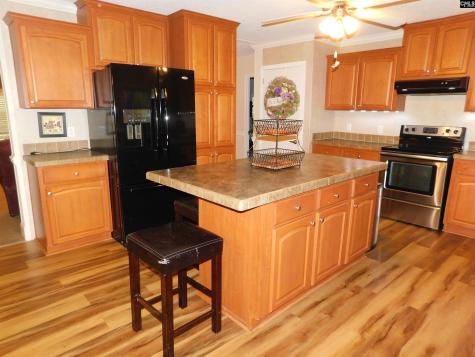 1464 Fallaw Road Gaston SC 29053