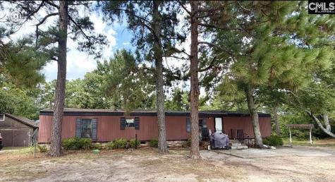 1419 Mack Street Gaston SC 29053