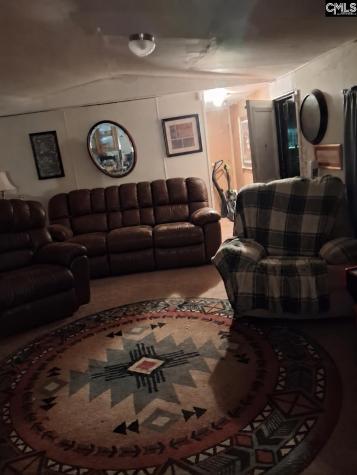 1419 Mack Street Gaston SC 29053