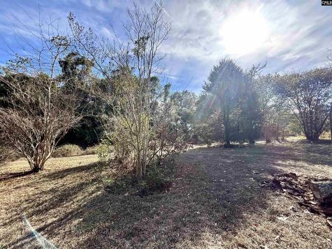 2201 Sharpes Hill Road Gaston SC 29053