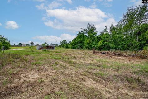225 State Pond Road Gaston SC 29053