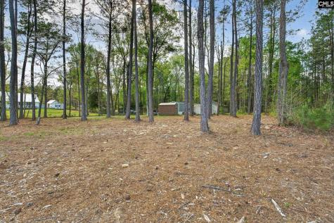 1045 Rushing Road Blythewood SC 29016