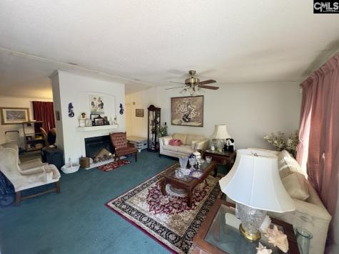 1 Avocet Court Columbia SC 29203
