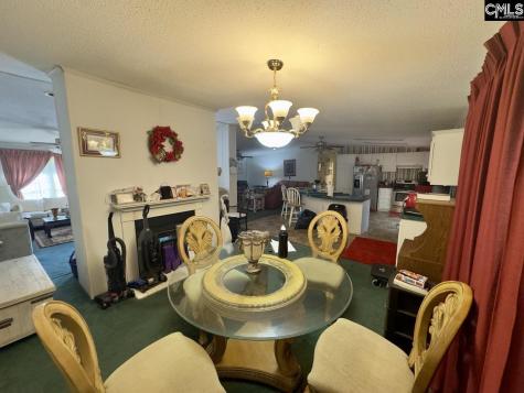 1 Avocet Court Columbia SC 29203